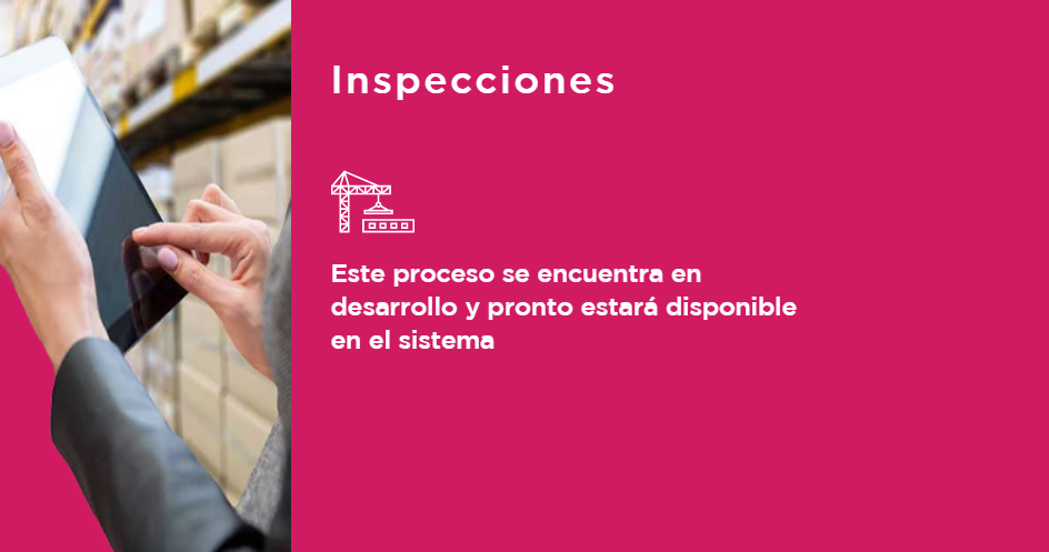 Inspecciones