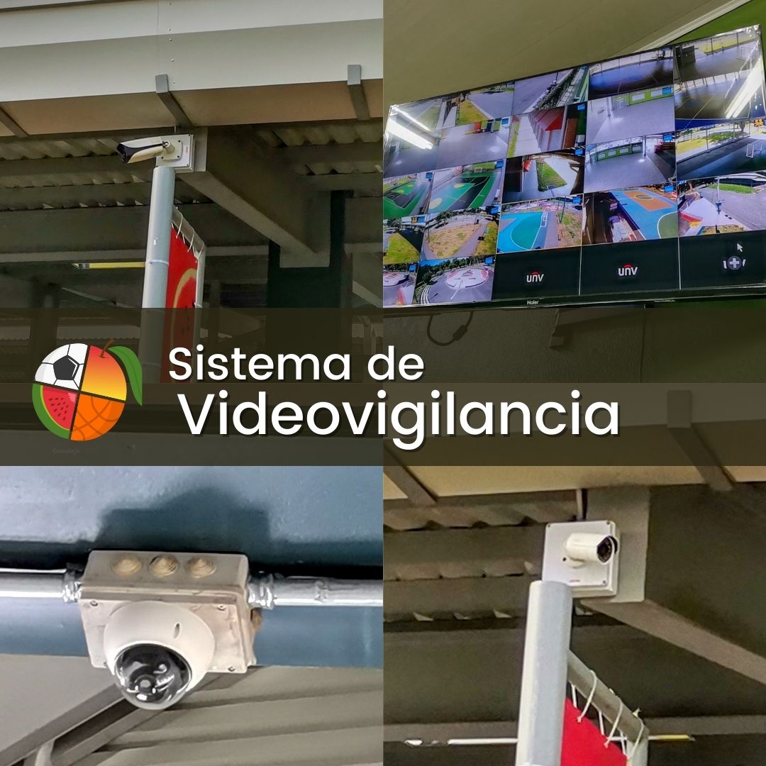 Seguridad y Videovigilancia